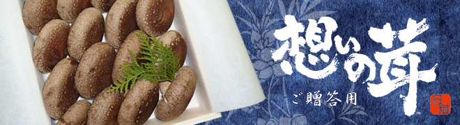 贈答用「想いの茸」