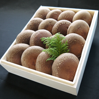 特選「想いの茸」 贈答用木箱