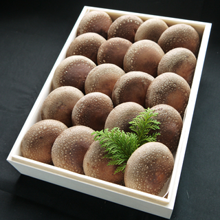 厳選「想いの茸」 贈答用木箱