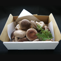 「想いの茸」 紙箱 1.0kg