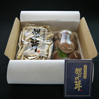 「想いの茸」 お試しパック紙箱