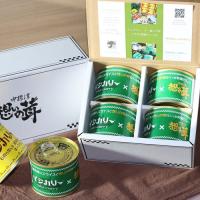 イシカリー×想いの茸 コラボ和風カレー4缶BOXセット